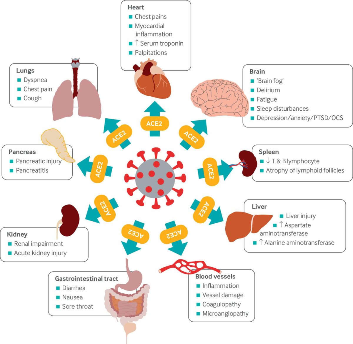 Long-covid-BMJ-2-1200x1169.jpg